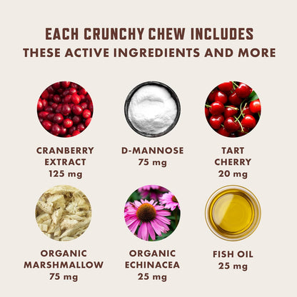 Rocco & Roxie Cat Urinary Tract Health Supplement, Cranberry and D-Mannose for Bladder, UT and Kidney Support for Cats, Vet-Recommended, Chicken-Flavored Crunchy Chews, Made in USA