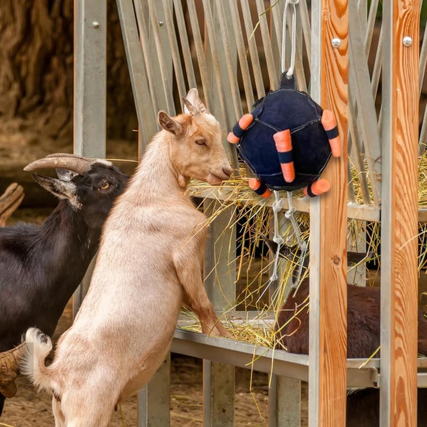Horse Carrot Feeding Ball Toy, Horse Training Ball Toy, Slow Feed Carrot Feeder, Hanging Carrots Feeding Toys for Training Farm Goat Stable Field Boredom