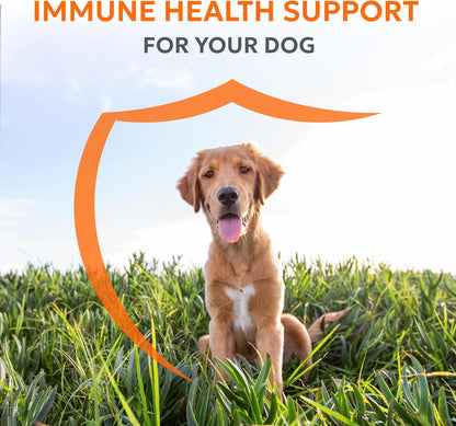 Nutramax Laboratories Nutramax Imuquin Immune Health Supplement Powder for Dogs, with Beta Glucans, Marine Lipids, Vitamins and Minerals, 30 Packets, Updated Version