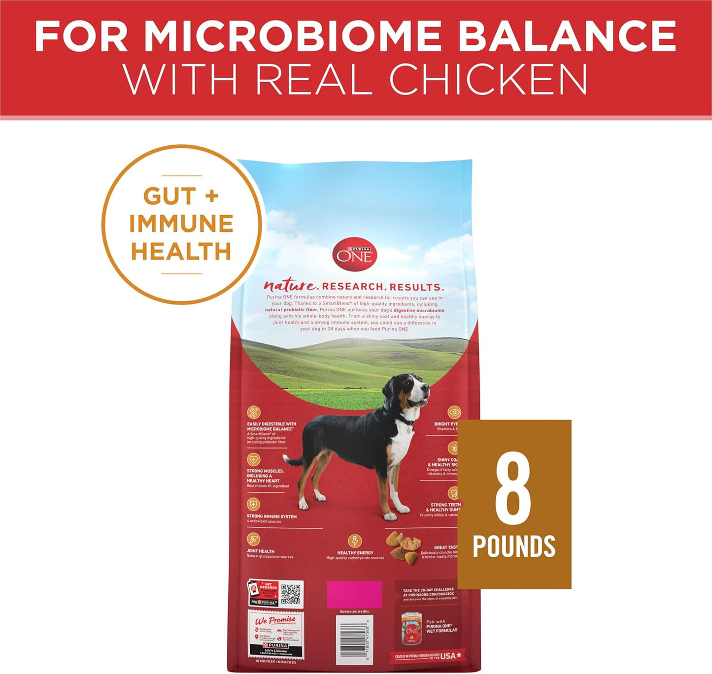 Purina ONE Chicken and Rice Formula Dry Dog Food - 8 lb. Bag