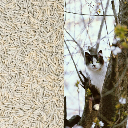 Lady N Ultimate Cat Litter Bundle: Pellets Tofu Cat Litter (Wood Scented Combo 18lb) + Infinity Scoop, Dust-Free, Low Tracking, Odor Control, Designed for Tofu Litter