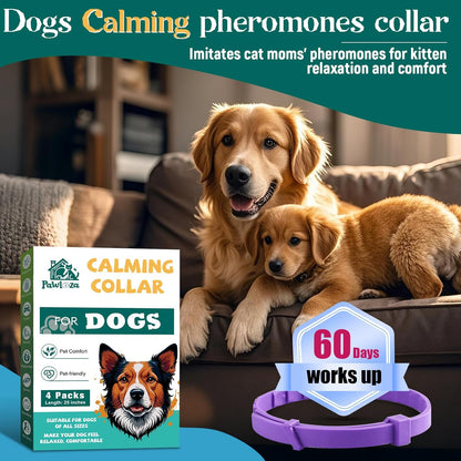 Probiotics for Dogs, Improve Itchy Skin Itchy Ears + Calming Collar for Dogs