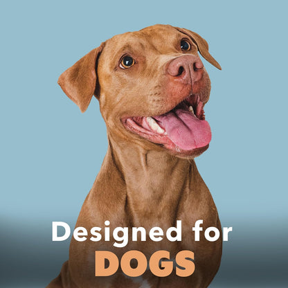 Flea Spray for Dogs, Gentle & Effective Flea Treatment for Pets, 16 oz (475mL)