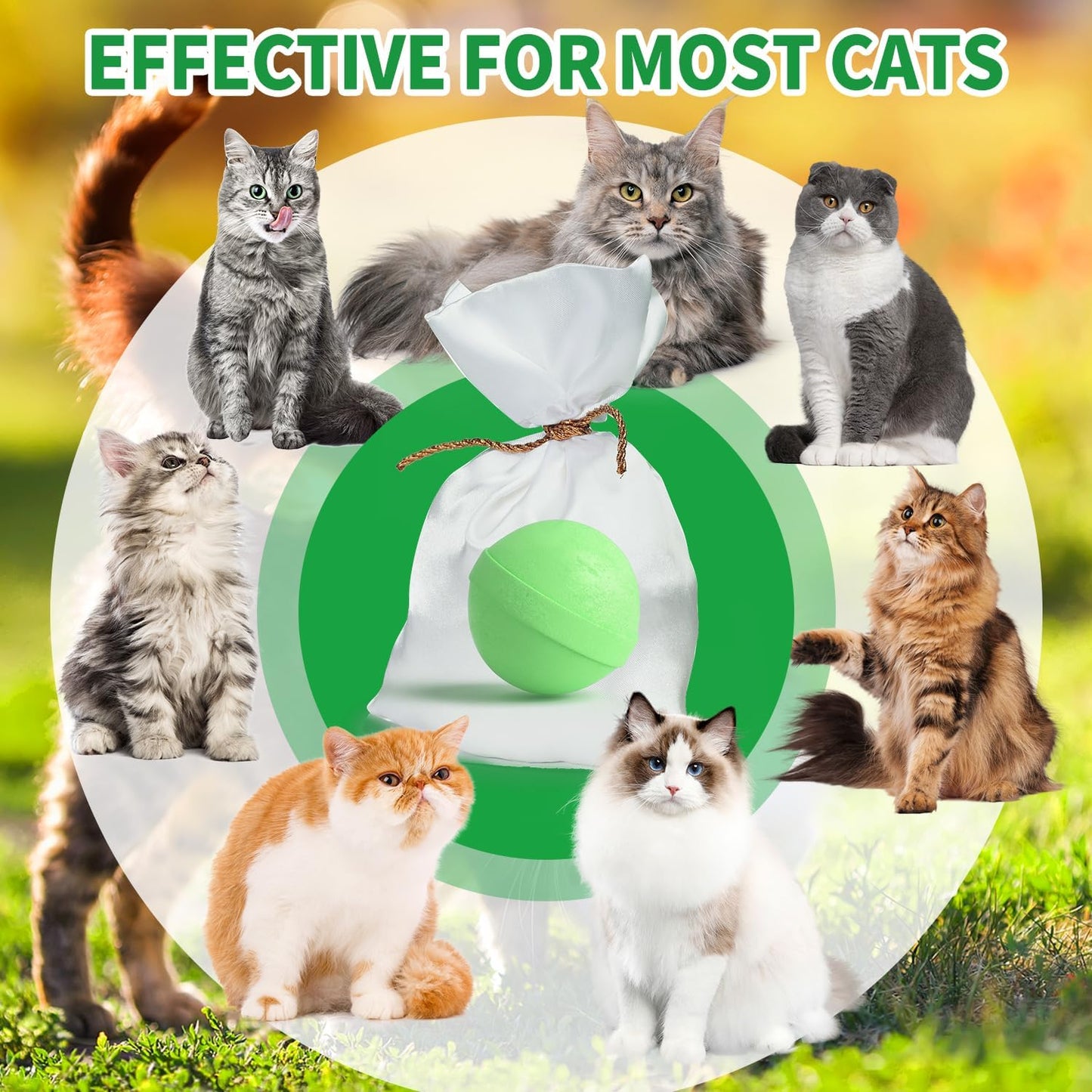 Ponal Cat Repellent Outdoor, Natural Peppermint Oil Cat Deterrent Outdoor Indoor, Keep Cats Off Lawn, Yard, Garden, Mulch & Flower Permanently Against Scratch and Chew, Keep Cats Away, 10 Pack