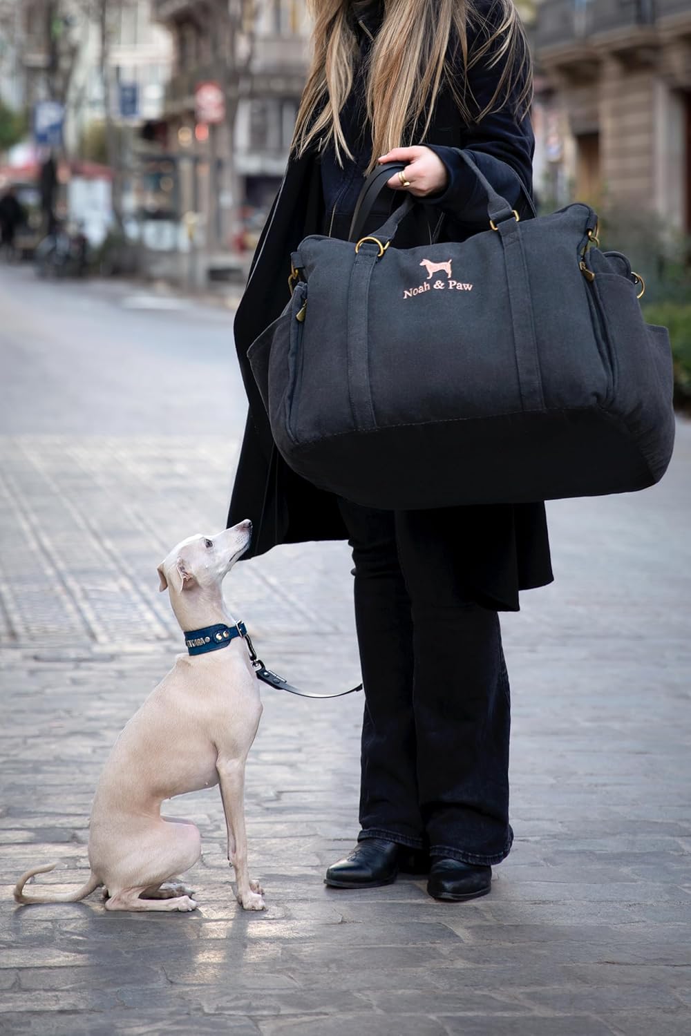 Noah & Paw Dog Car Seat Carrier, Small Dog Car Seat for Small Medium Pets with Harness Clip, 4X Safety Feature, Booster Travel Bed, Waterproof Washable, Orthopedic Foam Filling, Canvas Collection