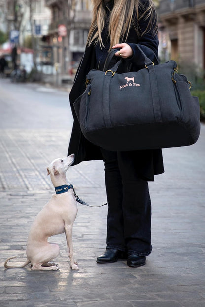 Noah & Paw Dog Car Seat Carrier, Small Dog Car Seat for Small Medium Pets with Harness Clip, 4X Safety Feature, Booster Travel Bed, Waterproof Washable, Orthopedic Foam Filling, Canvas Collection