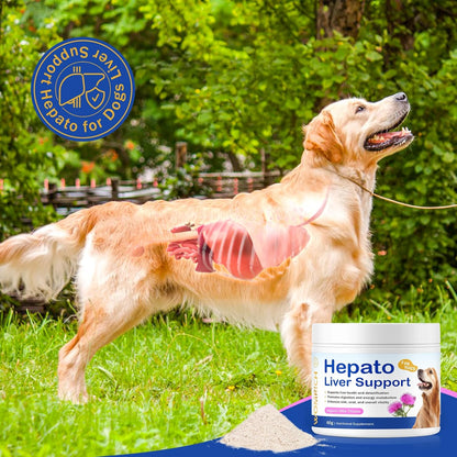 Hepato Liver Support for Dogs | Milk Thistle for Dogs with Vitamin B Complex, Supports Liver Health & Detox, Promotes Digestion and Energy Metabolism, Enhances Skin, Coat, Overall Vitality