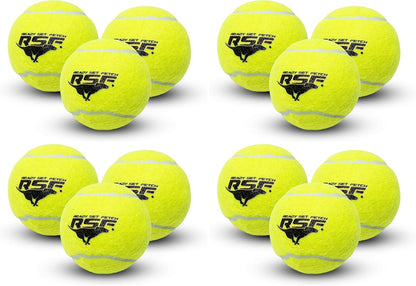 Franklin Pet Supply Squeaky - Ready Set Fetch Dog Toy Tennis Balls with Squeaker - Perfect Pet Toy for Small, Medium + Large Dogs - 12 Pack
