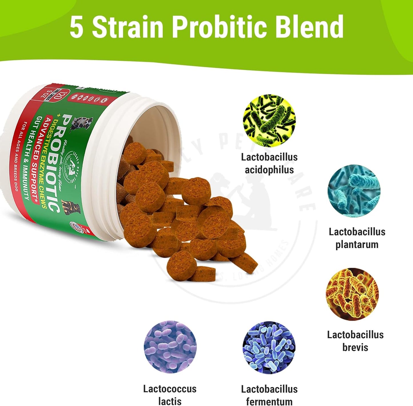 Probiotics for Dogs Soft Chews, 120 Count – Complete Gut Care for Digestive & Immune Support | Probiotics for Digestive Health | Pet Probiotics 9 oz Jar - Probiotic for Dogs