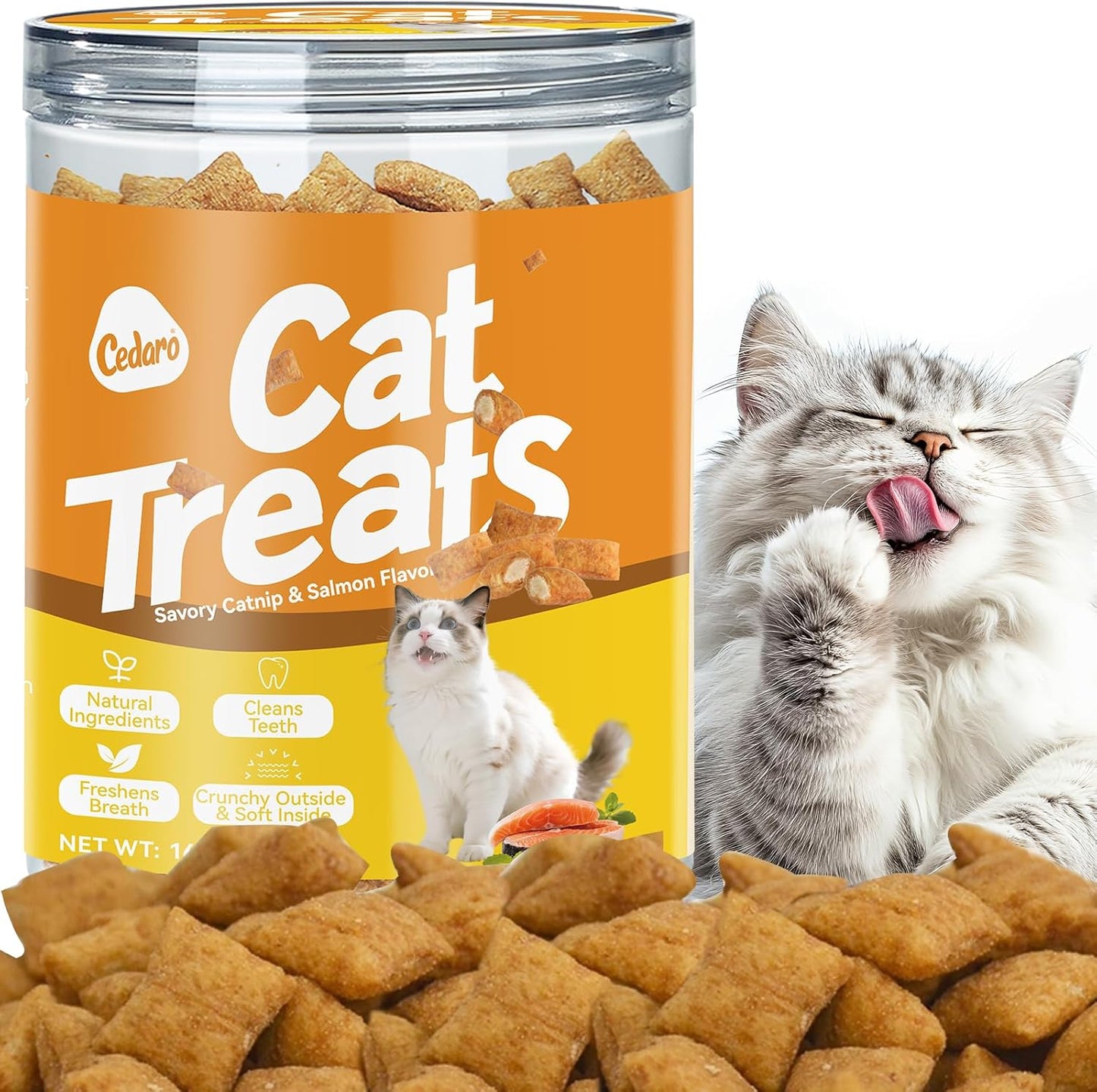 Natural Crunchy & Soft Cat Treats for Indoor Cats - Catnip & Salmon Flavor, Cat Snacks with Real Salmon, Dental Care & Digestive Support, Healthy Training Treats for Cats & Kittens
