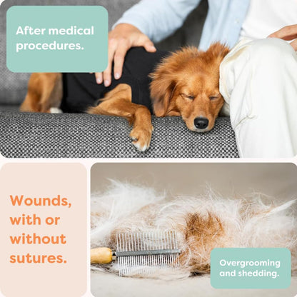 Suitical Recovery Suit for Dogs - XL Black - Dog Surgery Recovery Suit with Clip-Up System, Breathable Fabric for Spay, Neuter, Skin Conditions, Incontinence, 29.1–32.3 in Neck-to-Tail