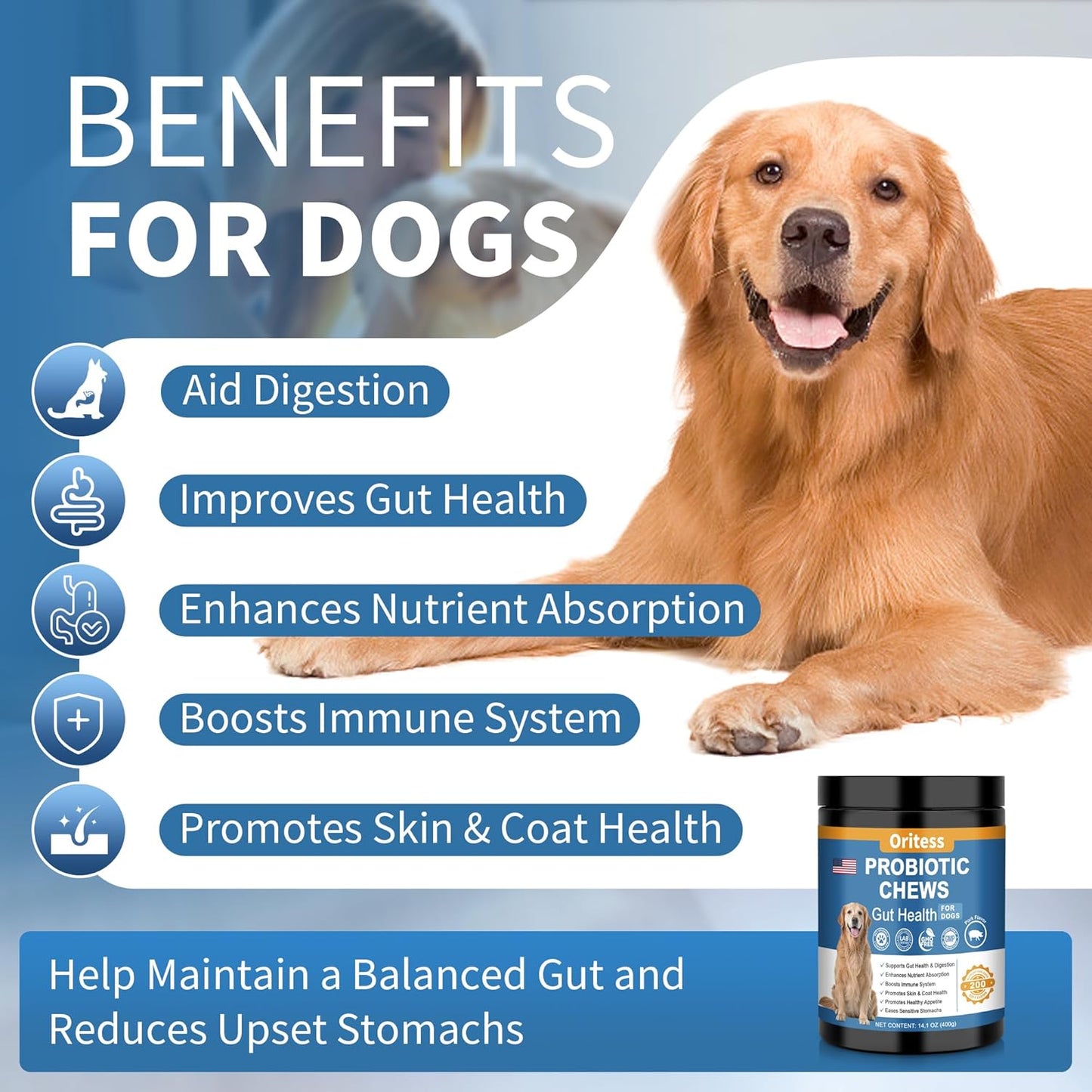 Probiotics for Dogs 200 Chews, Improve Itchy Skin Itchy Ears, Gut Health, Yeast Balance, Allergies, Immunity, Puppy Probiotic Soft Chews Reduce Diarrhea Stomach Relief (Pork)