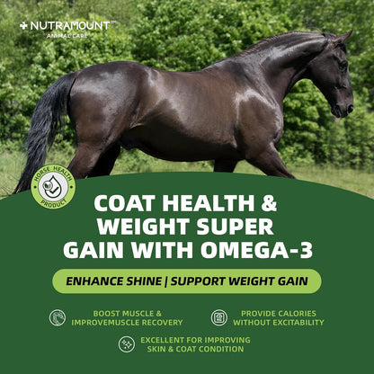 Horse Weight Gain Supplement – Omega-3 Flaxseed Formula, Natural High-Calorie Support for Healthy Weight & Shiny Coat, Easy-to-Digest High-Fat Horse Supplement – 420g