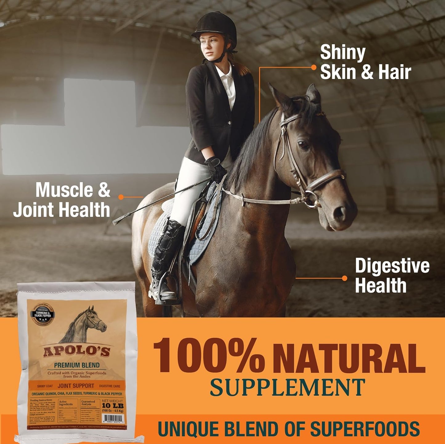 New! APOLO'S 100% Natural Horse Supplement for Daily Feeding – Joint Support, Coat Shine & Strength | Flaxseed, Quinoa, Chia | Turmeric and Black Pepper | 10 LB Bag