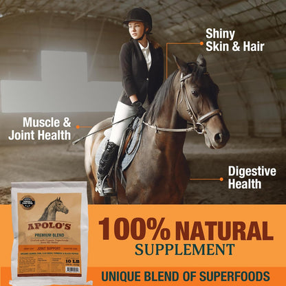 New! APOLO'S 100% Natural Horse Supplement for Daily Feeding – Joint Support, Coat Shine & Strength | Flaxseed, Quinoa, Chia | Turmeric and Black Pepper | 10 LB Bag