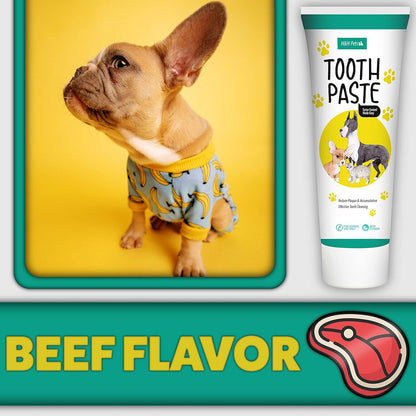 H&H Pets Dog Toothbrushes and Toothpaste Best Professional Cats & Dogs Finger Dental Brush, Dog Brush Set, Perfect for Dogs and Cats, Dog Supplies - Size Small 4 Count 3.5 Oz Toothpaste (100g)