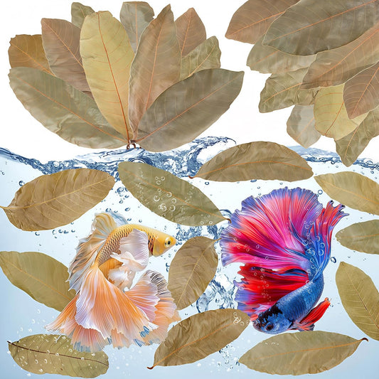 55+ Dried Longan Leaves (4-6 Inch) - Natural Terrarium Leaf Litter for Bioactive Setup, Isopods, Snakes, Frogs, Spiders, Betta Fish- Moisture Retention & Hiding Cover