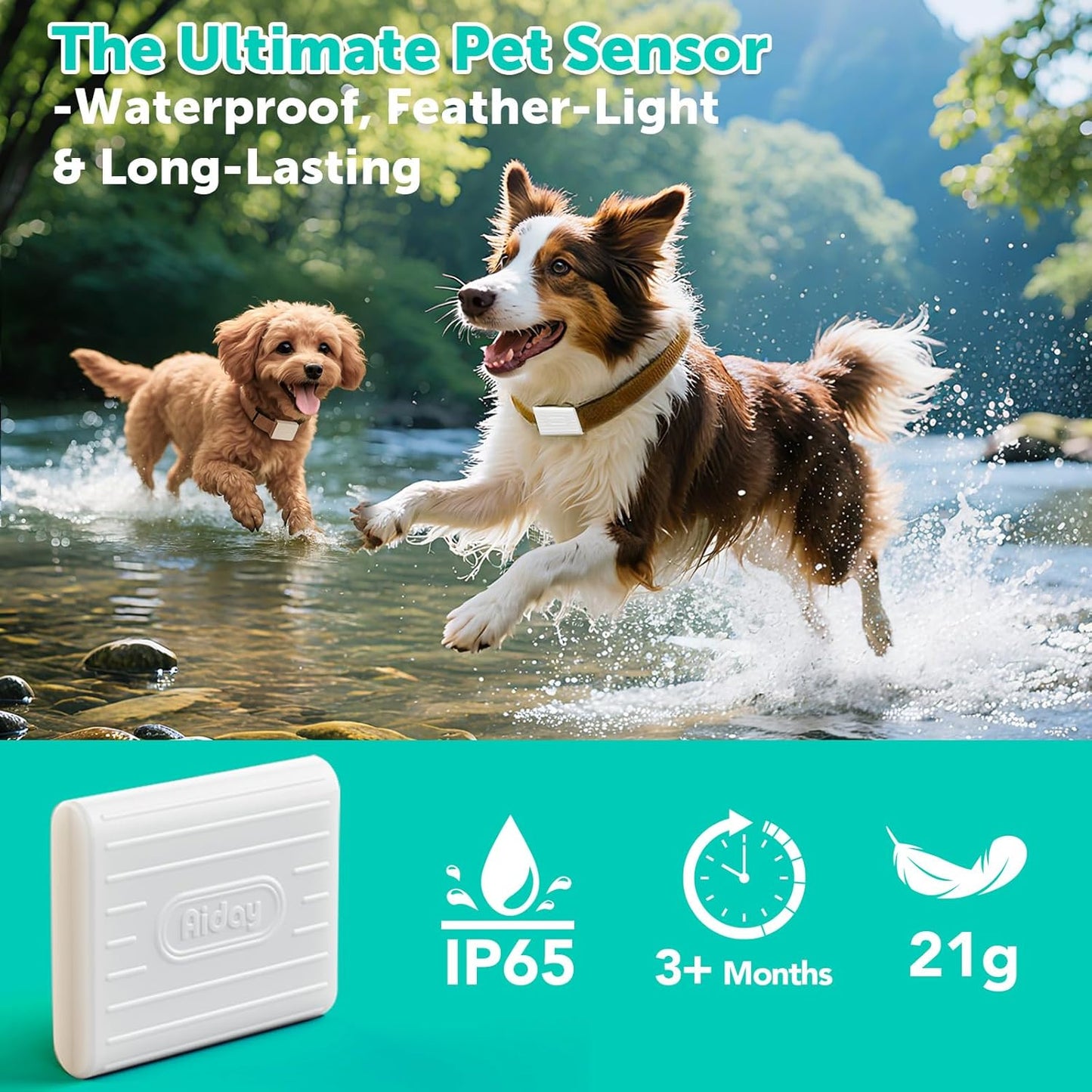 Automatic Sliding Glass Dog Door with Collar Sensor,Large Electric Doggy Door for Sliding Glass Door, Adjustable 76" to 80-11/16" Slider Height,Custom Scheduling & Anti-Pinch,Fit Dog Up to 100 Lbs (L)