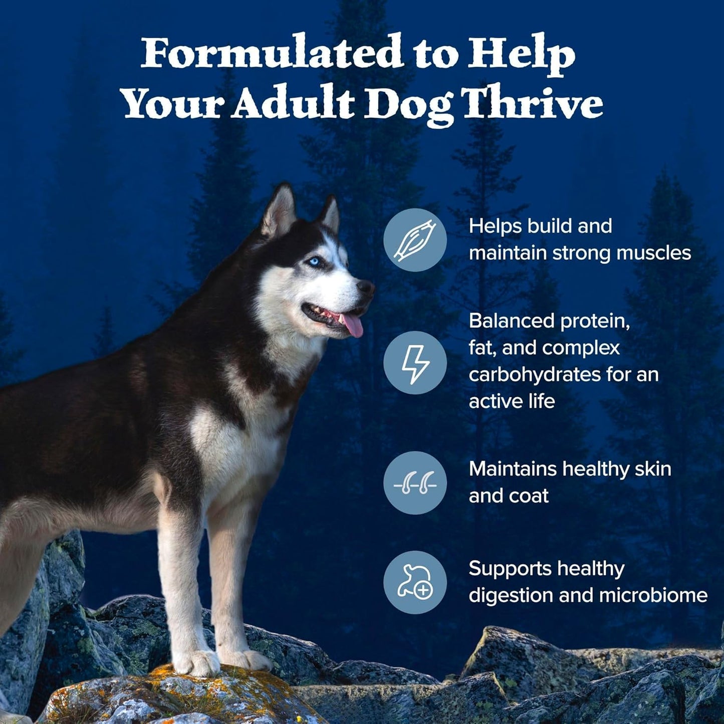 Blue Buffalo Wilderness Adult High-Protein Dry Dog Food with Real Chicken, Grain-Free, Made in the USA with Natural Ingredients, Chicken, 24-lb Bag