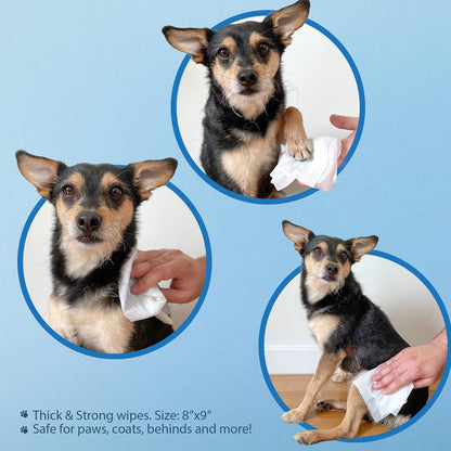 Best Pet Supplies Pet Wipes for Dogs - Dog Wipes Cleaning Deodorizing, for Coats, Ears, Paws – Refreshing, Cucumber 100 Count