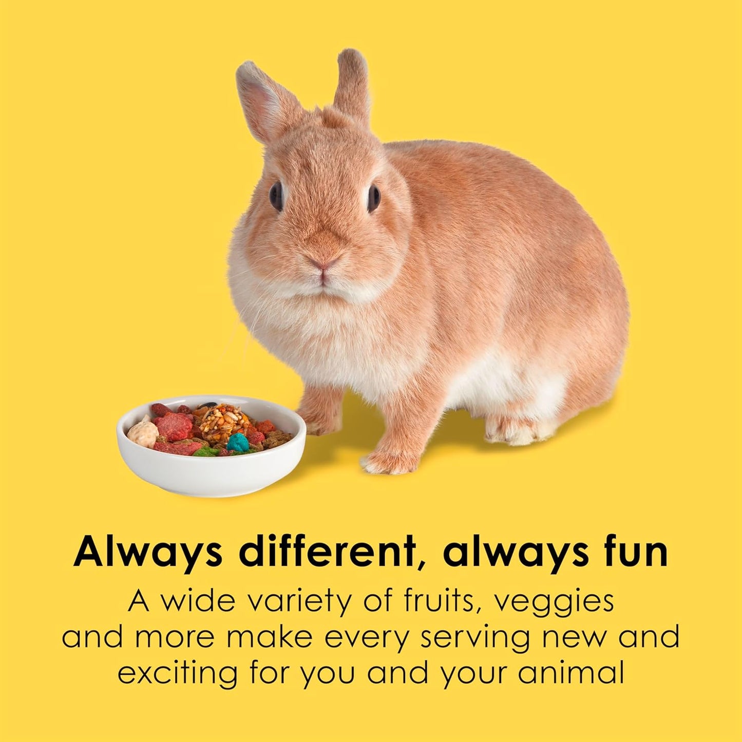 Kaytee Fiesta Rabbit Food, Nutritious and Fun Blend, Supports Dental Health and Digestion, 6.5 pounds