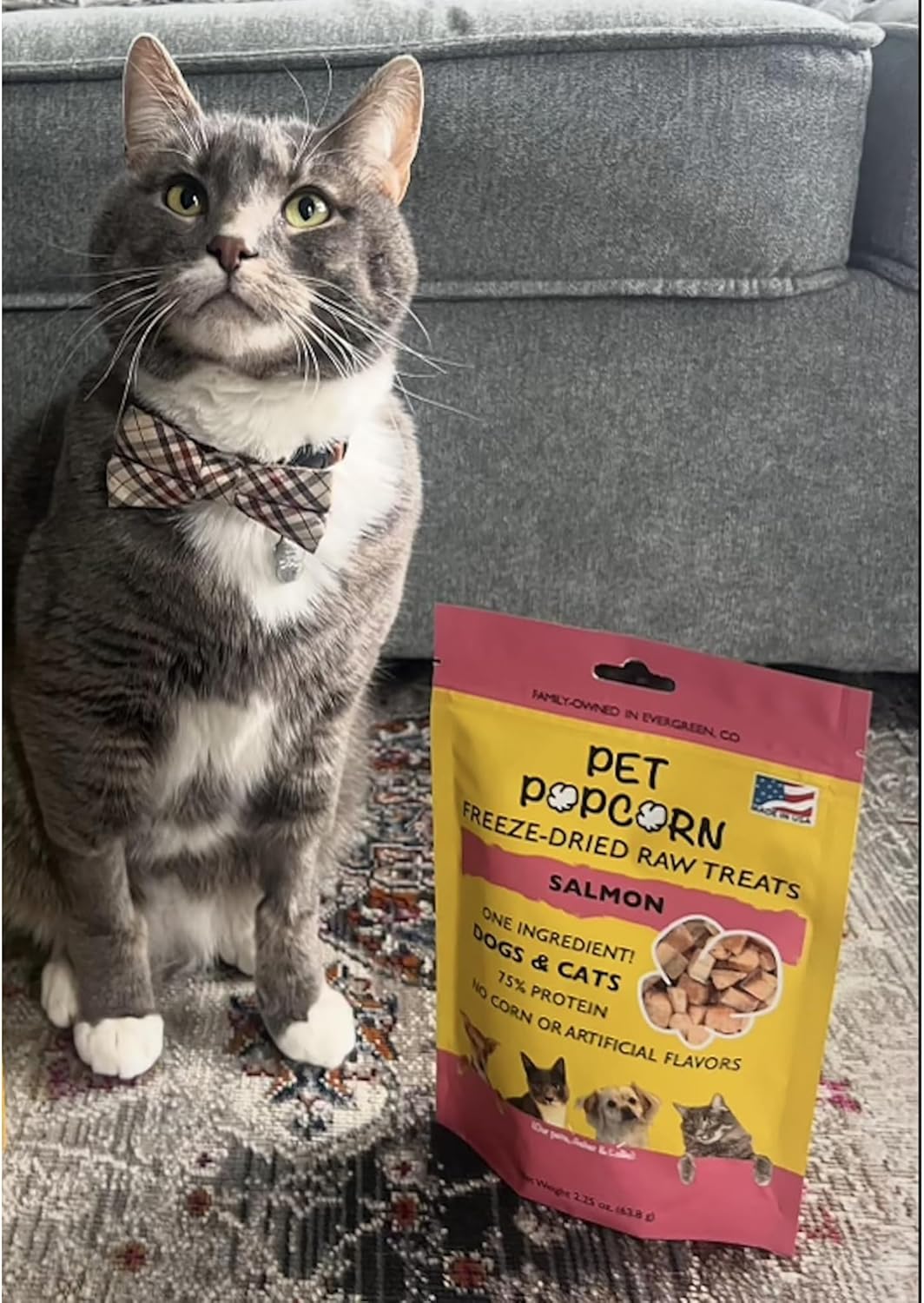 Freeze-Dried Raw Treats - Salmon - 2.5oz Bag, Dog & Cat Snacks, Single Ingredient, Natural, Pet Food Topper-Reward, Protein‑Packed Fish