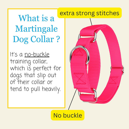 Country Brook Petz - Martingale Dog Collar - Heavy-Duty Training Collar with No Buckle - Service Dog Collar for All Pups - 10+ Warm Colors (Hot Pink, 1 Inch, Medium)
