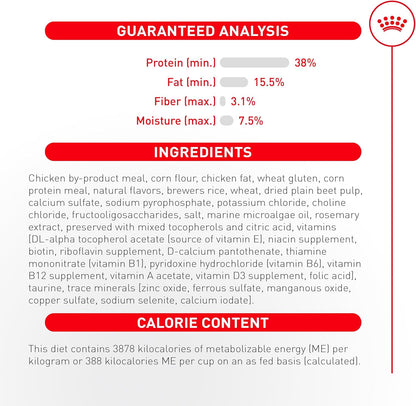 Royal Canin Fussy Dry Cat Food for Adult Cats, Protein-Rich Kibbles for Picky Eaters, Poultry-Based, Supports Healthy Weight and Urinary Health, 7 lb Bag