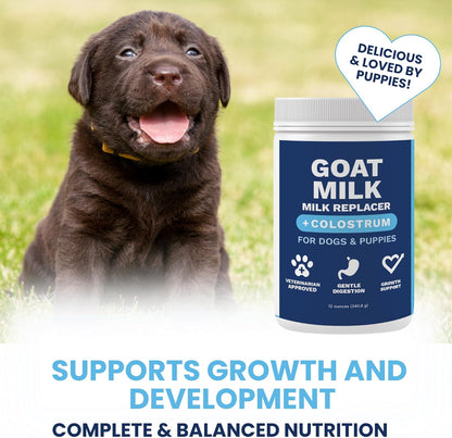 Under the Weather Puppy Milk Replacement Formula + Colostrum for Dogs & Puppies | Goat Milk Replacer Powder | Goat-Based Formula with Colostrum for Immune & Digestive Support - 12 oz