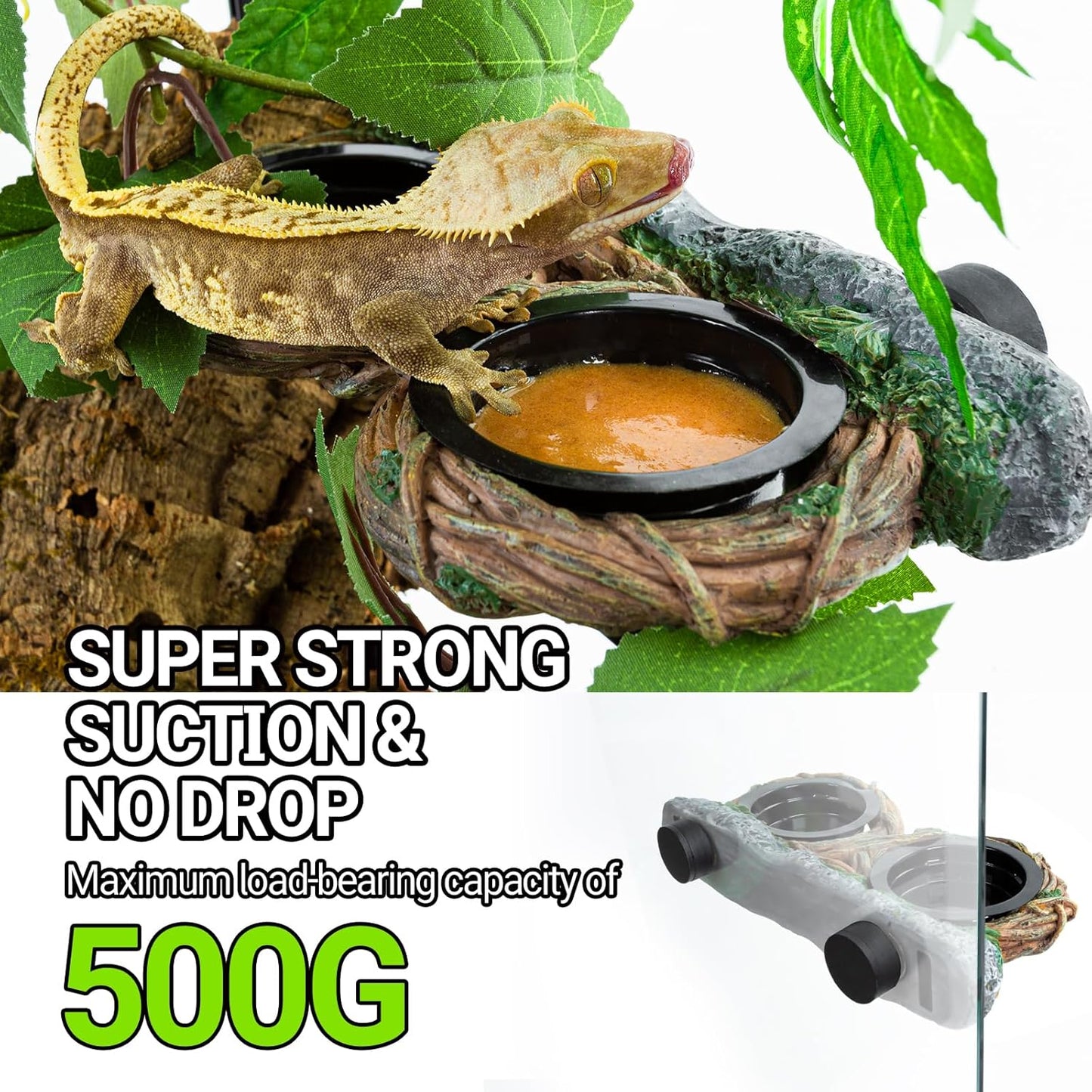 REPTI ZOO Reptile Feeder Ledge Magnetic (Dual Feeder)