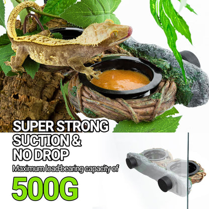 REPTI ZOO Reptile Feeder Ledge Magnetic (Dual Feeder)