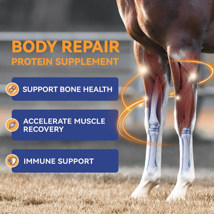30-Day Supply Equine Body Repair Protein Supplement-Amino Acids Speed up Muscle Recovery After Exercise Promote Muscle Growth and Healthier Joints
