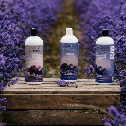 The Original – Equiderma Arnica Horse Shampoo, 32 oz | Sulfate-Free, Organic Herbal Formula for Healthy Skin, Silky Coat & Brilliant Shine | Natural Grooming Care