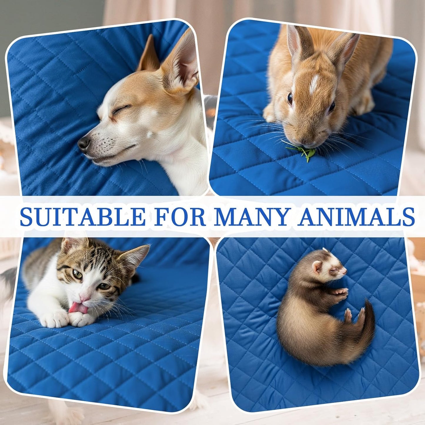 3 Pcs Ferret Cage Liner Washable Ferret Pads Bedding Cage Accessories Kit for Small Animals Hamster Rats Chinchillas Hedgehogs Guinea,Stain-Resistant Material (Single Unit Set,Blue)