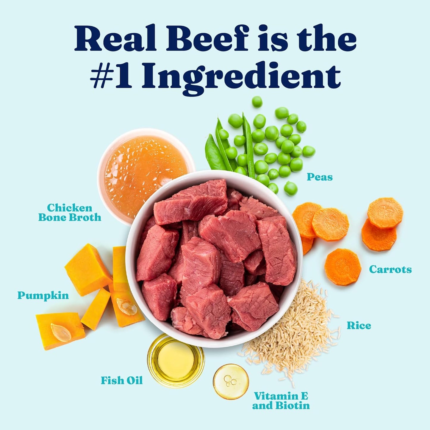 Solid Gold Homestyle Meals Wet Dog Food - Soft Food for Dogs w/Beef, Bone Broth & Superfoods for Gut Health Support - Dog Toppers for Dry Kibble - Fresh Refrigerated Full Meal Replacement - 9oz/6ct