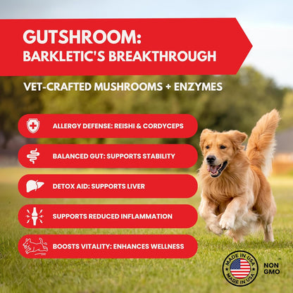 Dog Probiotics – Vet-Formulated Soft Chews for Gut, Immune & Skin Support, Allergen-Smart, Clean Ingredients | 60 Chews