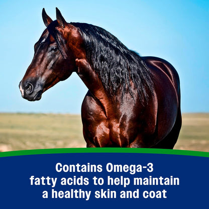 Farnam Weight Builder Weight Support Supplement for Horses, Helps Maintain Optimal Body Condition, 7.5 lb, 30 Day Supply