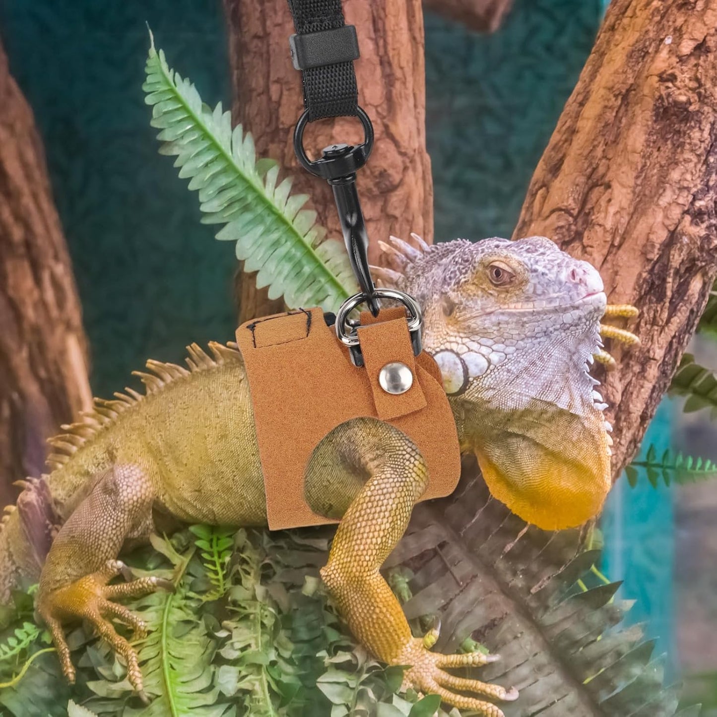 Bearded Dragon Leash & Harness Set, Adjustable Lizard Harness Cool Animals Accessories for Small Pet Animals Reptile Outdoor Safety Walking (S, M, L)