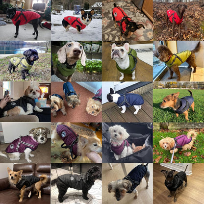 Gyuzh Dog Coat with Harness Puppy Coats Small Dog Harness Jacket Winter Waterproof Jackets for Smal Medium Large Dogs