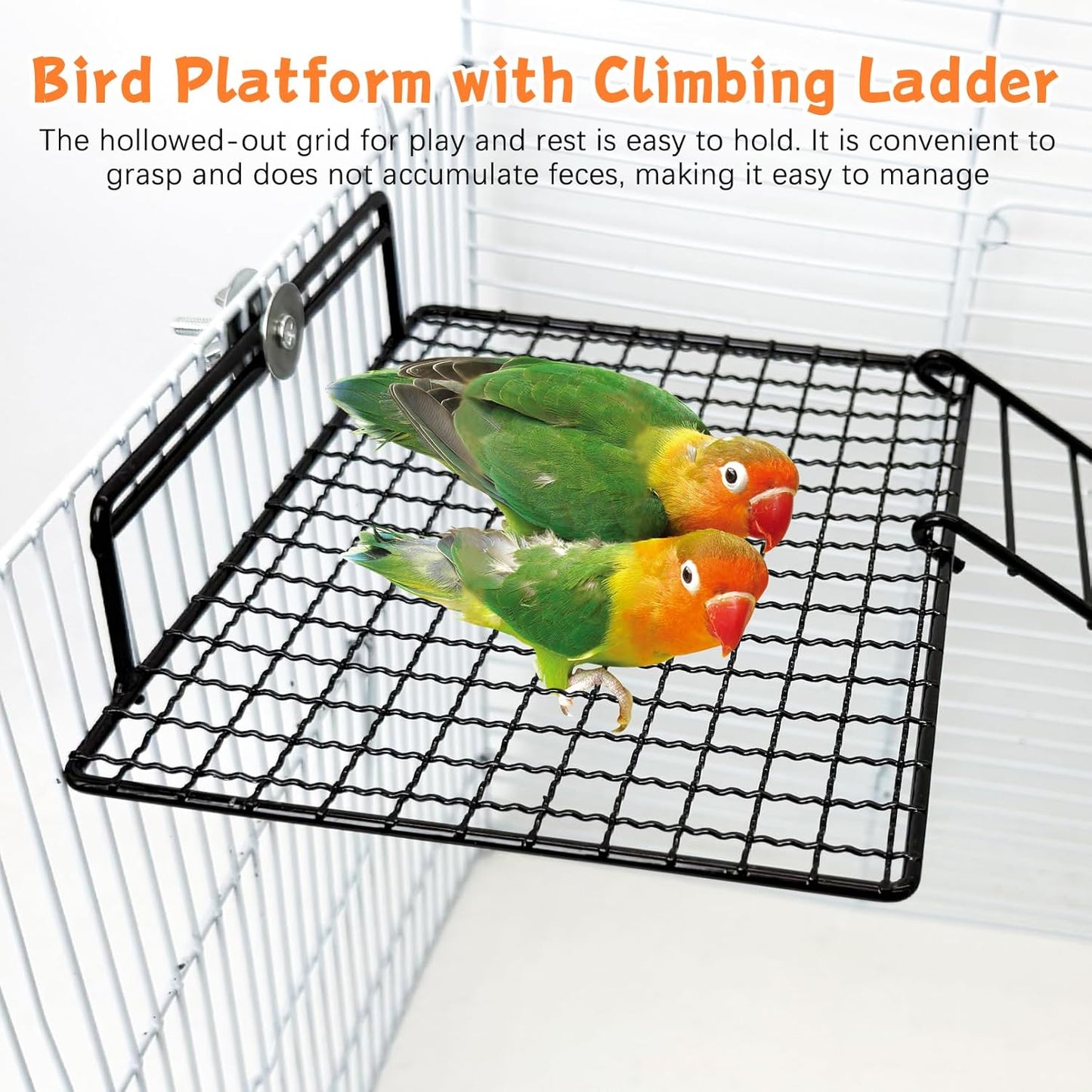 BNOSDM Extra Large Stainless Steel Grid Platform for Parakeet 4 PCS Bird Perches Platform Parrot Stand with Climbing Ladder Bird Cage Accessories for Small to Large Bird (Screw Style-XL)