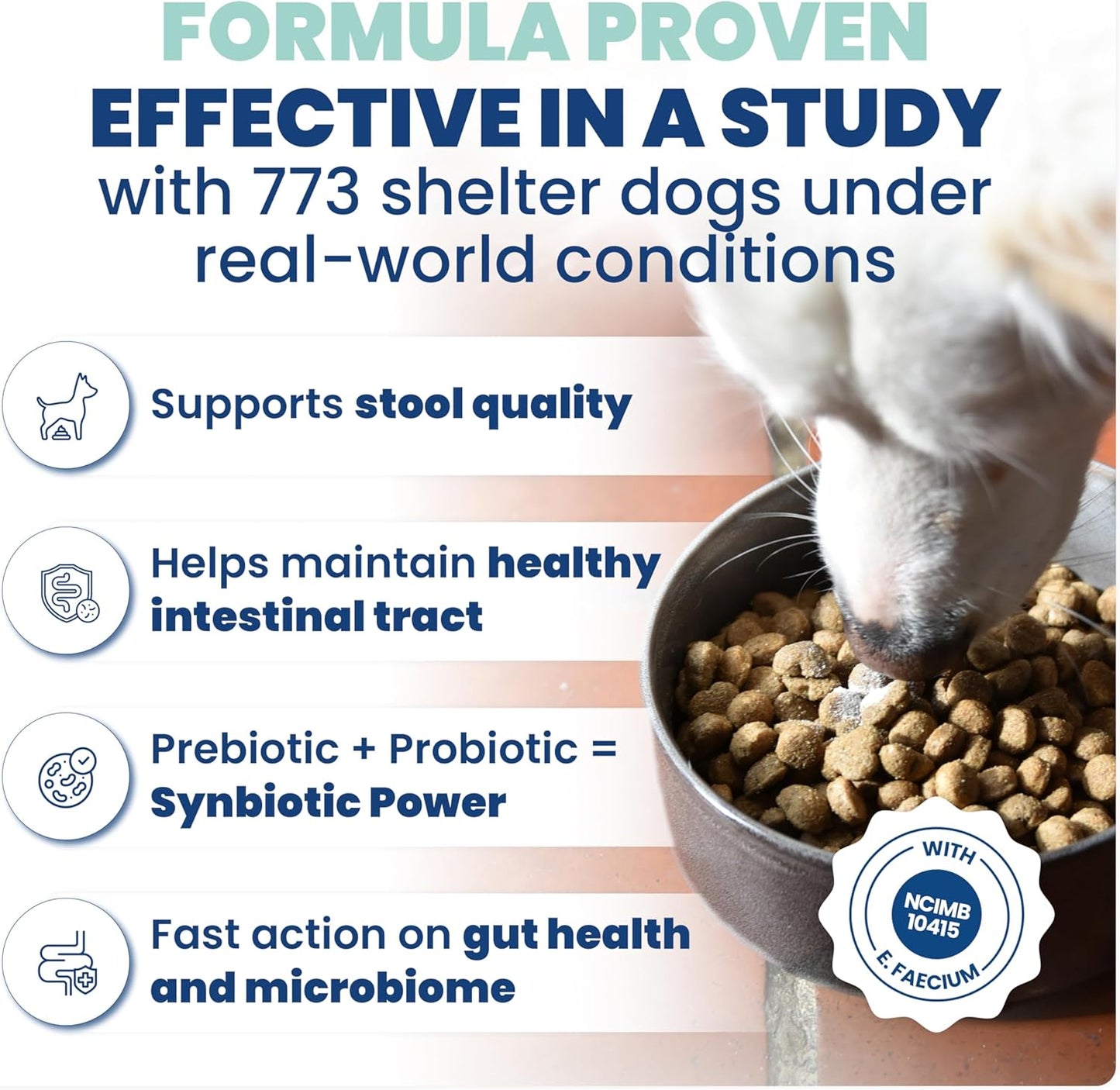 Jope Synbiotic GB-01® - Prebiotics and Probiotics for Dogs & Cats - Clinically Proven Formula - Vet Formulated for Gut Health, Stool Quality, Diarrhea, Immunity, Skin & Coat - 30 Gut Powder Capsules