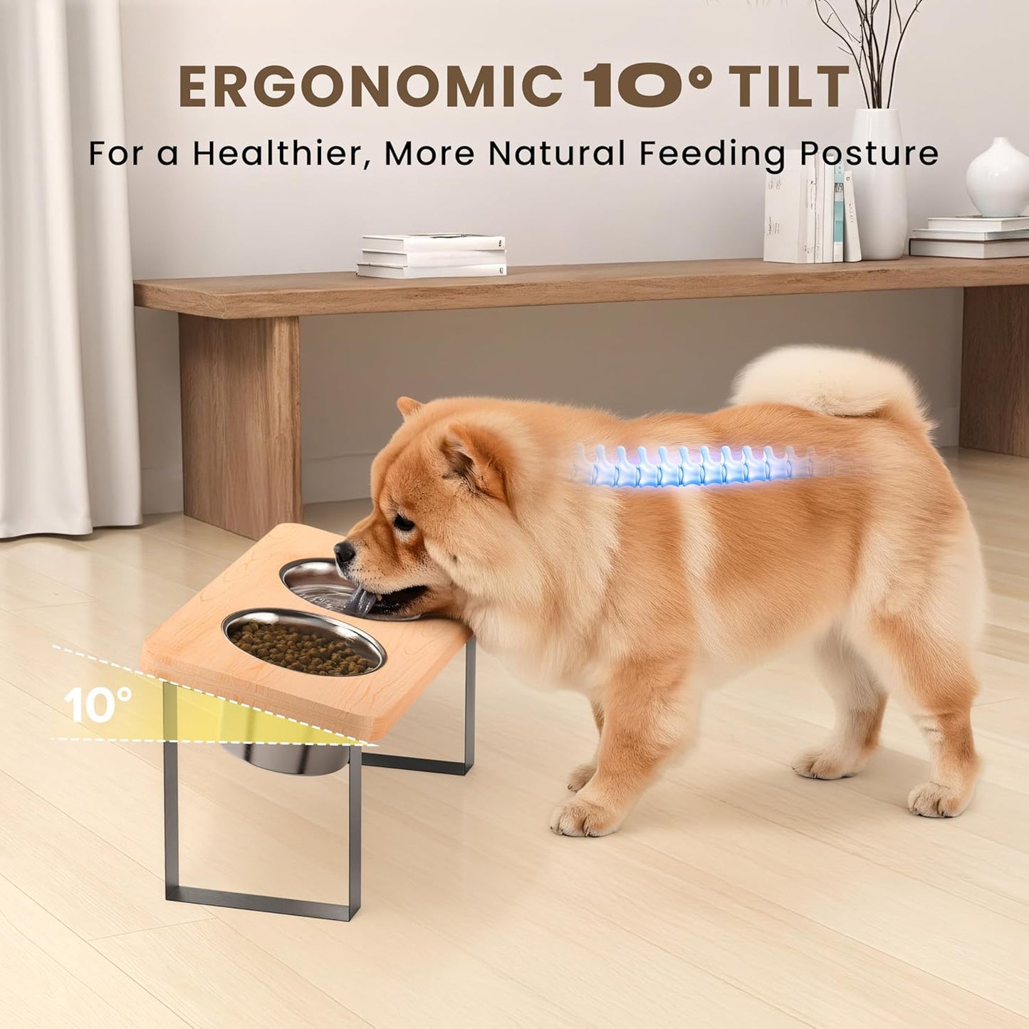 15.9" Tall Elevated Dog Bowls - Ergonomic Stainless Steel Dog Bowls with 10° Tilt in Acacia Wood Stand for Medium Breed
