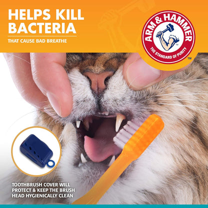 Arm & Hammer Fresh Breath Dental Kit for Kittens | Cat Toothbrush and Toothpaste with Baking Soda | Cat Oral Care, Cat Dental Kit for Kittens in Tuna Flavor & Fresh Mint Scent, 3-Piece Kit | 72 Pack