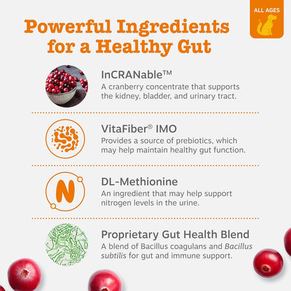 Zesty Paws Stay Green Bites for Dogs - Grass Burn Soft Chews for Lawn Spots Caused by Dog Urine - with Cranberry for Urinary Tract & Bladder - Beef - 90 Count