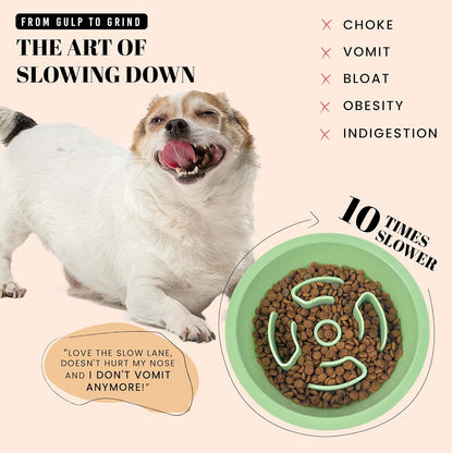 AVERYDAY Slow Feeder Dog Bowl Set with 1 Base and 3 Puzzle Inserts Customizable Design BPA-Free and Dishwasher Safe for Small Medium Large Dogs