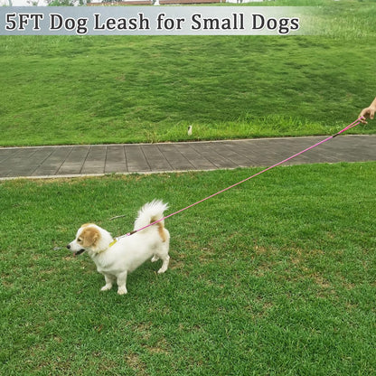 WYuZe 5ft Puppy Leash for Small Dogs, 1/4" Thin Rope Dog Leash with Easy to Use Hook, Lightweight Leashes for Chihuahua/Yorkie/Toy Breed, 10 Colors, Pink Purple