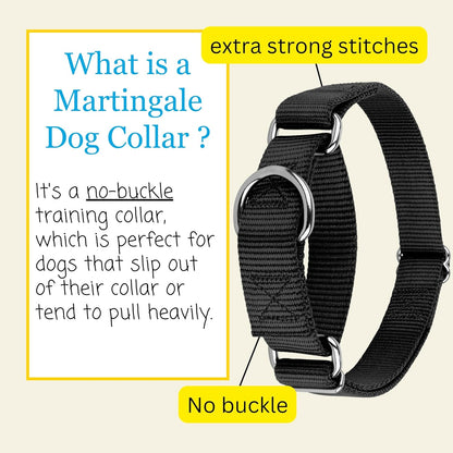 Country Brook Petz - Martingale Dog Collar - Heavy-Duty Training Collar with No Buckle - Service Dog Collar for All Pups - 10+ Cool Colors (Black, 1 Inch, Medium)