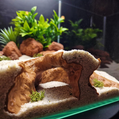 Aquarium Cave Hide for Pleco, Shrimp, Corydoras, and Reptiles, Natural Cave Design Terrarium Decoration