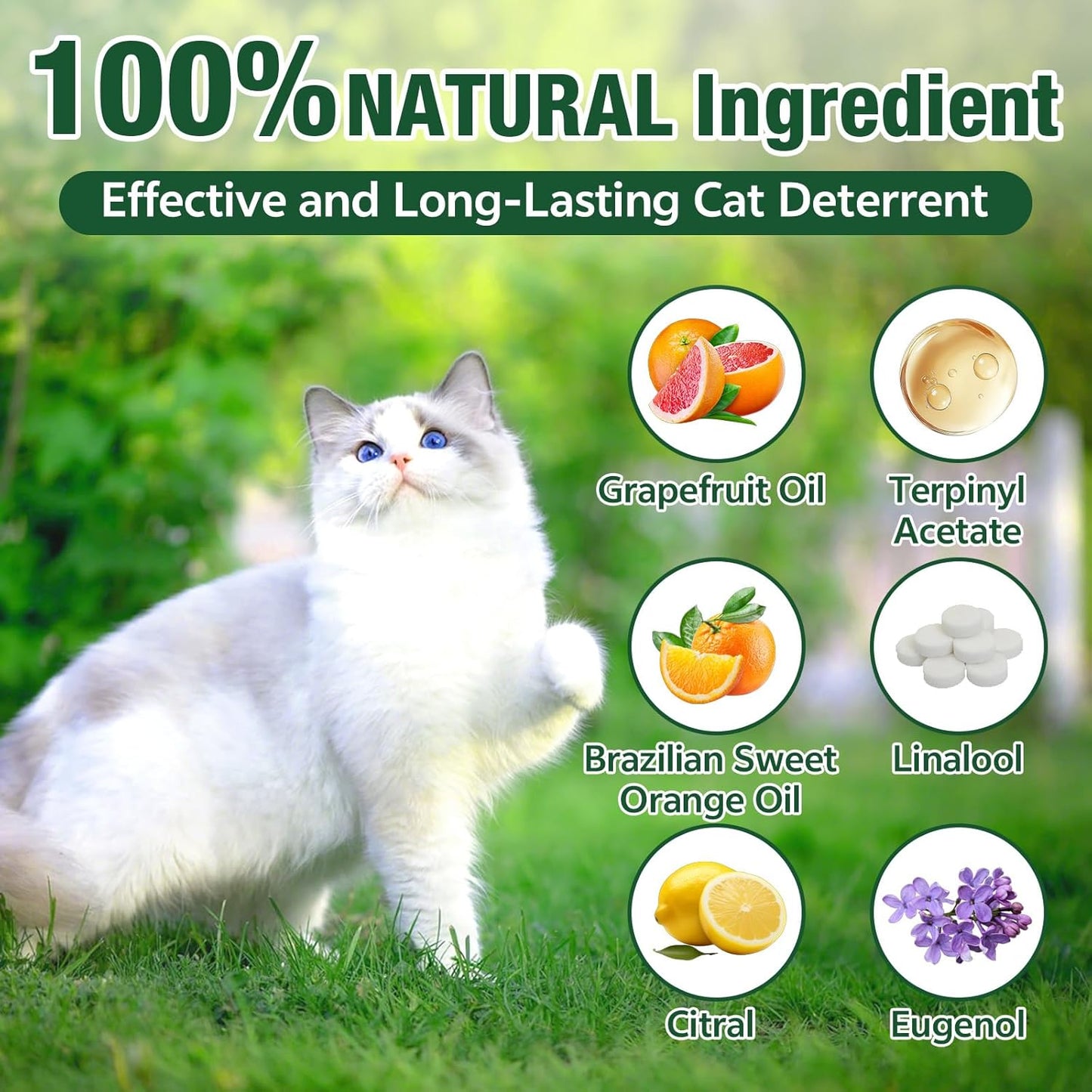 Cat Repellent Outdoor & Indoor, Cat Deterrent Outdoor Indoor, Natural Grapefruit Oil Keep Cats Out of Yard Permanently, Keep Cats Away from Garden, Furniture, and More, 10 PCS (Pack of 1)