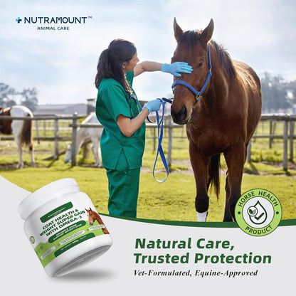 Horse Weight Gain Supplement – Omega-3 Flaxseed Formula, Natural High-Calorie Support for Healthy Weight & Shiny Coat, Easy-to-Digest High-Fat Horse Supplement – 840g